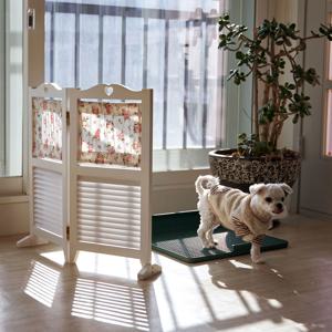 강아지 원목 패드 배변판 가리개 원목 갤러리 패브릭 타이니 파티션