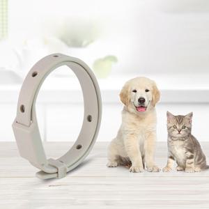 강아지 해충방지 목걸이 애견 고양이 진드기 벌레 모기 소형견 대형견 산책용품