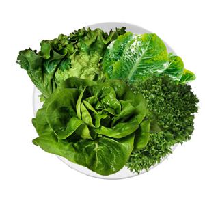 유기농 샐러드 채소 3~4종 혼합 카이피라 버터헤드 유럽 양상추 1kg