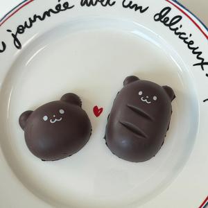 초코퐁당베어 스퀴시볼 스트레스완화 말랑이 곰인형