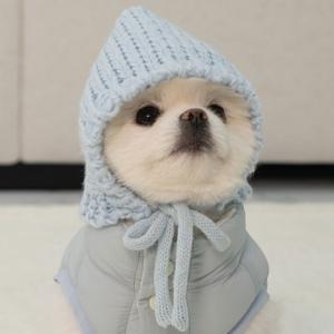 강아지 모자 겨울 귀도리 귀마개 코코보넷 스카이 (B105_SK)