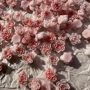 TEMU 200개 스타일 핑크 레진 카네이션 네일 차밍, 8mm 3D 멀티 레이어 꽃잎, 폰 케이스, 크리스마스 및 어머니의 날 크래프트용 DIY 매니큐어 장식