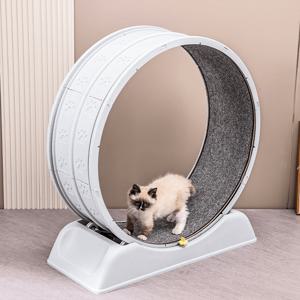 TEMU 1개 조용한 고양이 런닝머신 - 견고한 실내 롤러, 잠금 장치 포함, PP 소재, 대부분의 고양이 운동 활동에 적합