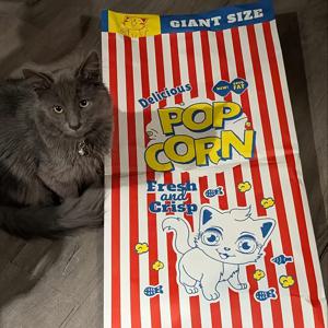 TEMU 팝콘 백 고양이 장난감 - 상호작용 가능한 만화 디자인, 내구성 있는 크링클 종이 충전재로 반려동물 엔터테인먼트에 완벽한 배터리 없는 카드보드 놀이 가방