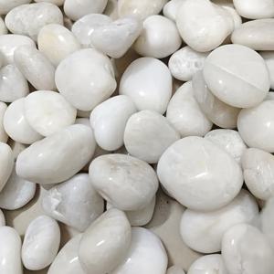 TEMU 300g/600g/900g 고광택 천연 화이트 강암 2-4cm - 실내 식물, 수족관, 꽃병 채우기, 조경 장식 및 유리 용기 장식용 자갈