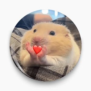 TEMU 2D 플랫, 귀여운 햄스터 하트 브로치 핀 - 옷, 모자, 가방용 평면핀 - 발렌타인데이, 어버이날, 생일 선물 - 펫러버 주얼리 - 합리적인 일상 액세서리, 햄스터 액세서리, 의류 장식품, 가방 , 유쾌한 디자인, 매력적인 소품, 정교한 공예, 컬렉터블 아이템, 경량 액세서리, 패션 배지, 선물 쇼퍼, 2D 플랫