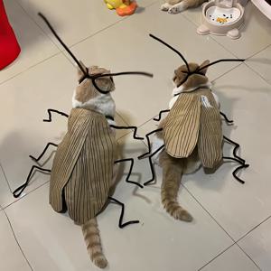 TEMU 2개 세트 고양이 코스튬 키트 - 당신의 반려동물을 수탉이나 바퀴벌레로 변신시켜보세요 | 안전하고 무독성의 곤충 모양 의상, 안테나와 날개 같은 부속품 포함 | 고양이를 위한 재미있는 사진 의상, 할로윈 & 크리스마스 선물 (소/중형 고양이, 간편한 착용)