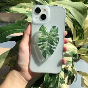 TEMU 1개 열대 식물 잎 폰 홀더 - 조절 가능한 경사, 아크릴 (PMMA) 레진, 자연적인 신선한 스타일, 창의적인 식물 디자인, 스티키 패드가 있는 회전 스탠드, 스마트폰에 이상적, 스마트폰 홀더 | 열대 식물 디자인 | 조절 가능한 스탠드