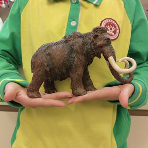 TEMU 고품질, 생생한 20cm 길이의 시뮬레이션 야생 동물 쥬라기 시대 울리 매머드 빙하 시대 아시아 코끼리 코끼리, 9cm 길이의 작은 코끼리 동물 모델 PVC 조각상 장식 수집품