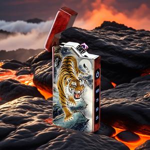 TEMU USB 전기 플라즈마 라이터 - 고속 충전, 내구성 강한 금속 구조, LED 점화 기능, USB/배터리 동작 가능 - 캔들, 불꽃놀이, 바베큐, 캠핑용 - 남성을 위한 이상적인 선물, 야외 및 일상 사용 - 리튬 폴리머 배터리 포함, 재충전식 라이터