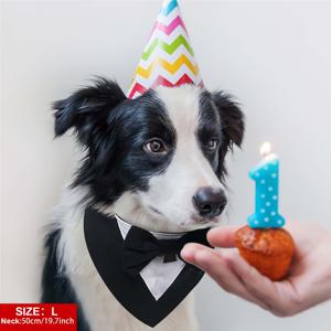 TEMU 개 정장 웨딩 밴드, 개 목걸이와 리본, 개 생일복, 소형부터 대형까지의 애완동물용 조절 가능한 택서디, 개 발렌타인데이 의상