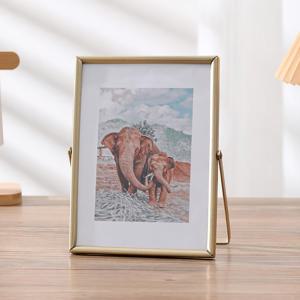 TEMU 유럽 스타일 수직형 테이블 사진 프레임, 편안한 철제 싱글 사진 디스플레이, PS 투명 패널, 오블로운 모양, 6/7/8인치 - 홈 데코