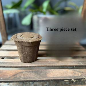 TEMU 나비 난초 전용 토양 방충 루트 통기성 식물 재료 덴드로비움 교체 화분 난초과 혼합 식물 재료