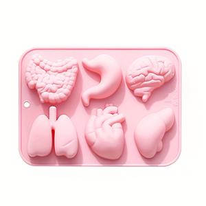 TEMU DIY 내부 기관 모형 인간 기관 모형 6 개의 다른 모양이 줄지어 있으며, 도자기, 비누, 촛불 만들기 모형, 드롭 글루 템플릿, 촬영용품, 교육 샘플 모형 만들기