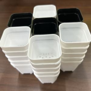 TEMU 35개의 미니 1.5인치 묘목 화분 - 배수구가 있는 가벼운 플라스틱 사각 식물 화분, 다육식물에 적합, 실내 및 실외 사용 가능, 청소 및 쌓기 쉬움, 컴팩트 디자인, 내구성 있는 구조, 미니어처 인형집 액세서리, 식물용 화분, 꽃병, 묘목 화분, 정원 성장, 집, 정원 식물 화분