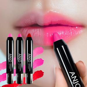 TEMU NEW 앙쥬 립크레용