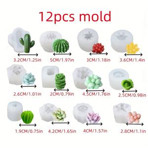 TEMU 12개 수크렌트 및 카투스 실리콘 모양 - DIY 아로마테라피 촛불, 석고, 수지용 3D 식물 촛불 모양, 비정형 홈 데코 크래프팅 모양, 촛불 만들기 용품