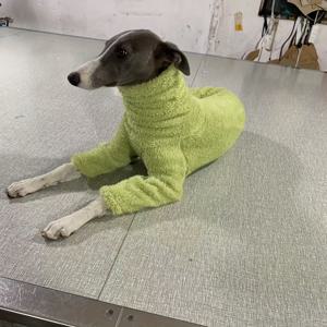 TEMU 겨울용 두꺼운 하이넥 강아지 스카프, 패셔너블 믹스 프린트 양면 플러시 따뜻한 네발이 슈트, 부드럽고 신축성 있는 히버트 블렌너트 트위드 고양이용