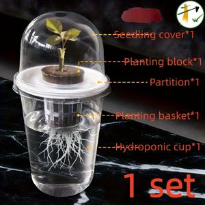 TEMU 1개, 5구성품, 수경재배 씨앗 화분 플라스틱 투명 원통형 - 수경재배 키트, 고투명 수경재배 컵, 뿌리 성장 관찰용 투명, 통기성 및 뿌리 방지를 위한 소형 구멍 디자인