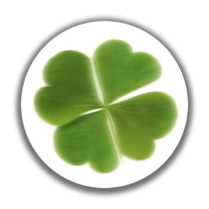 TEMU 1개 애니메 클로버 브로치 핀 - 그린 포-리프 클로버 배지, 남녀공용 주얼리, 재킷·모자·가방에 완벽한 발렌타인데이·졸업식·스포츠 이벤트 선물용 - 애니메 팬 액세서리, 애니메 장식품, 유쾌한 디자인, 정교한 공예, 패션 액세서리, 스타일리시한 소품, 고품질 장식핀, 패션 애호가를 위한 데코레이티브 핀