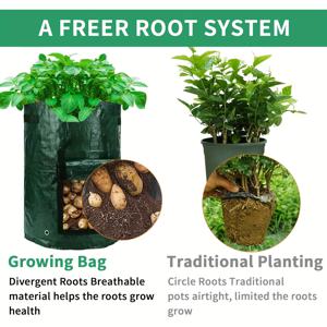 TEMU 창문 & 손잡이가 있는 10갤런 헤비듀티 패브릭 정원 가방 4개 세트 - 감자 & 야채에 적합, 실내/외 사용, 녹색