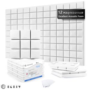 TEMU 12개입 방음 폼 패널, 2