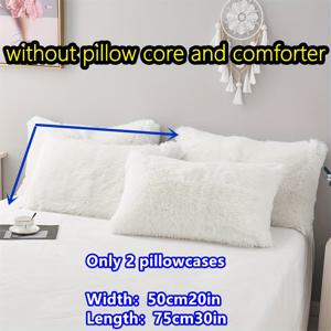 TEMU 2피스 플러시 베개 커버, 부드럽고 따뜻한 긴 털 장식 베개 커버, 기계 세척 가능, 인서트 없음 – 폴리에스터, 짠 세탁 공예, 무인쇄 (300-350g 원단 무게)