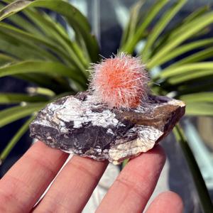 TEMU 50-100g 희귀 제올라이트 광물 표본, 제올라이트 원석, 쿼츠 클러스터, 클러스터, 광물 표본, 컬렉션, 선물