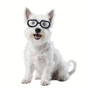 TEMU 투명 개 고글 소형견용, 패션 스타일 강아지 안경, 라이딩 보호, 탄력 스트랩 포함, 쉽게 착용/조절 가능