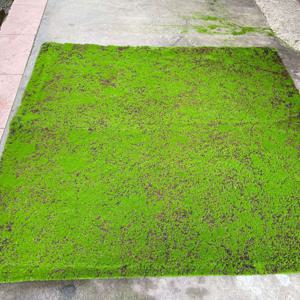 TEMU 1m*1m 인공 이끼 카펫, 합성 잔디 러그, 이끼 조경, 결혼식, 파티오, 발코니, 실내 장식, 초극세 섬유, 홈 데코, 크리스마스, 할로윈, 부활절, 추수감사절, 데이, 바닥 배치