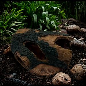 TEMU 천연 나무 구멍 장소 - 파충류 및 양서류 쉼터, 소동물 서식지, 수족관 장식 - 현관 구멍이 있는 리얼리스틱 숲속 디자인 - 테라리움, 연못, 정원 장식용 내구성 있는 구조, 도마뱀, 거북이, 개구리용 러스틱 디자인, 질감 표면