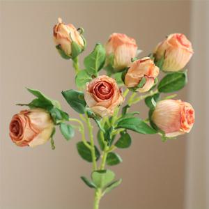 TEMU 단일 가지 7 꽃 머리 장미 인공 꽃. 가장자리 연소 공정을 채택하여 꽃이 말린 것처럼 보이며, 가정 장식 및 결혼 부케에 적합합니다. 주방, 거실, 식당, 침실 등에 놓을 수 있습니다. 장식용으로 봄과 여름의 장식, 결혼 시즌, 데이, 크리스마스, 가을 추수 축제, 가을 장식, 추수감사절에 완벽합니다