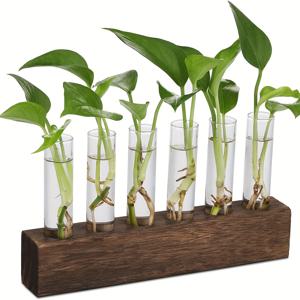 TEMU 홈 오피스 가든 거실 침실 식물용 6개의 시험관이 포함된 데스크탑 및 벽걸이 유리 재배 , 여성 선물