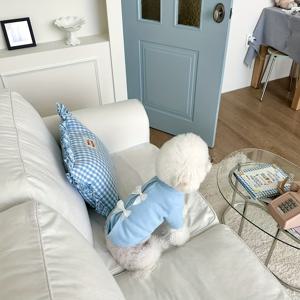 TEMU 신상 가을 겨울 패션 따뜻한 애완견 고양이 스웨트셔츠 - 테디, 비숑 프리제, 포메라니안용 플러시 안감