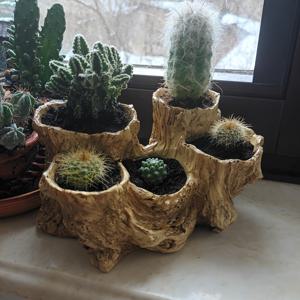 TEMU 1개 정원 모조 나무 머리 대형 다중 구멍 화분, 다양한 신제품 창의적인 레트로 스타일 에체베리아 식물용 실내외 발코니 거실 사무실 데스크탑 장식, 식물 미포함