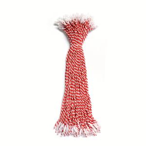 TEMU [99pcs 스냅이 있는 걸이줄] 99pcs 클래식 걸이줄 스냅 잠금 핀 루프, 다목적 장식 태그 코드, 크리스마스, 할로윈, 추수감사절, 새해 및 범용 축하, 가정, 방 및 창문 장식, 축제 장식품