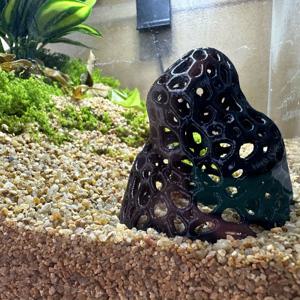 TEMU 수조 은신처 하우스 - 중공 내부 디자인, 물고기/새우/베타용 쉼터 - 소형/대형 어류 안전한 피난처, 담수 및 해수 수조 장식품