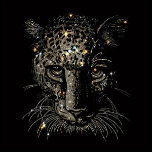 TEMU 티셔츠, 청바지, 백팩 장식에 적합한 두 개의 빛나는 호랑이 얼굴 디자인의 전사 다리미 패치. 이 패치는 세탁이 가능합니다.