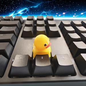 TEMU 1pc 회전 오리 키캡 MX 키 | 360° 회전 헤드 ESC 장식 | 오리키 캡 아티스턴 키보드 캡