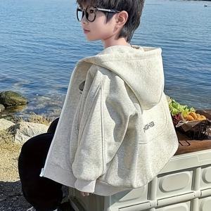 TEMU 남아용 스타일리시한 지퍼업 재킷. 봄/가을 2025년에 완벽하며, 어린 남아들이 좋아하는 후드 디자인으로 캐주얼 웨어에 이상적입니다.