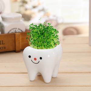 TEMU 1개 세라믹 이빨 모양 화분 | 귀여운 만화 미니 화분, 데스크탑 장식용, 가볍고 광택 마감, 실내 사용에 적합