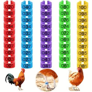 TEMU 오리, 새끼닭, 닭, 기니파울, 비둘기, 오리, 게임닭, 칠면조, 그리고 다양한 다른 새를 위해 설계된 다섯 가지 다양한 색상의 100개의 닭 다리 밴드 세트입니다. 각 밴드는 16mm이며 발목에 클립됩니다.