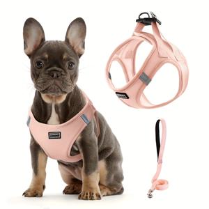 TEMU 올웨더 터키스 & 블랙 에어 독 백팩 하네스 - 안전 릴리즈 시스템, 편안한 스텝인 디자인 & 메쉬 조끼, 소형~중형견용 - 세탁기 사용 가능, 내구성 있는 펫 백팩 하네스 (산책, 훈련, 여행용) - 퍼그, 치와와, 시츄, 포메라니안에 이상적 - 안전한 버클 & 조절 가능한 스트랩, 통기성 메쉬 소재, 모든 날씨에 적합