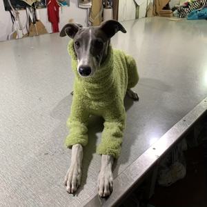 TEMU 겨울용 두꺼운 하이넥 강아지 스카프, 패셔너블 믹스 프린트 양면 플러시 따뜻한 네발이 슈트, 부드럽고 신축성 있는 히버트 블렌너트 트위드 고양이용