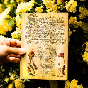 TEMU 1pc 빈티지 꽃무늬 커버드 노트북, 256페이지, 두꺼운 대학 규칙 저널, 핫 스탬핑, DIY 스크랩북, 창의적 쓰기, 그림, 사무실, 집, 학교, 선물, 파티, 여성 선물