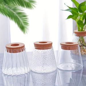 TEMU 3pcs 투명 유리 수경식 식물 꽃병, 나무 뚜껑 포함 - 고성능 보로실리케이트 유리, 물 수경을 위한 이상적인 꽃병 세트, 가정 및 사무실 장식용, 식물 용기 | 미적 꽃병 | 깨지지 않는 꽃병|수경