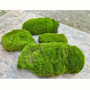 TEMU 리얼리스틱 인공 이끼 & 리켄 스톤 커버 - 홈 데코용 생기발랄한 그린 폴리에스터 이끼, 계절별 휴일 장식(추수감사절, 크리스마스, 할로윈) - 전기 필요 없음, 패널 및 매트에 쉽게 적용 가능, 축제 분위기 장식 | 질감 있는 표면 | 내구성 있는 장식품, 이끼 장식