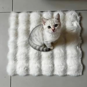 TEMU 고양이 매트 의자 쿠션, 고양이 침대 등반 프레임, 따뜻한 수면 강아지 둥지 패드, 공간 애완 동물 담요