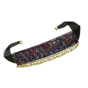 TEMU 댄서 스커트 여성 벨리 댄스 힙 스카프 랩 벨트 쇼 코스튬 시퀸 태슬 벨트