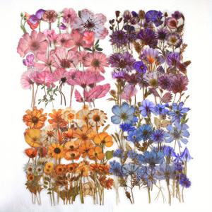 TEMU 200개 꽃 스티커 - 투명 PET 스티커, 반짝이는 액센트, DIY 공예, 일기 및 추억, 다양한 색상 및 꽃잎 유형, 스크랩북 스티커, 일기 액세서리, 반짝이는 마감 스티커